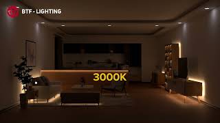 BTFLIGHTING FCOB LED Light Monochromatic Strip Light 3000K4000K6000K [upl. by Tegirb]