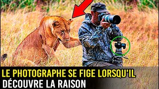 Une LIONNE Demande De Laide à Un Photographe il Reste Pétrifié En Découvrant La Raison [upl. by Easlehc815]