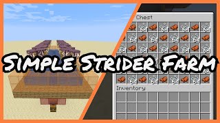 Simple Strider Farm in 116 nether update up to 61 440 itemsh 116 [upl. by Tresa]