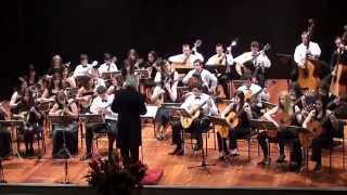 Czardas V Monti  Orquestra de Bandolins da Madeira [upl. by Euqinim]