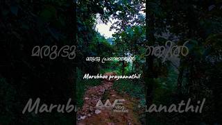 Azhalerum jeevitha maruvil music lyrics [upl. by Acisset724]