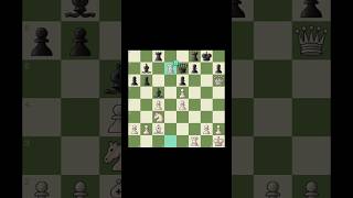 Alekhine setup for glory [upl. by Aivila]