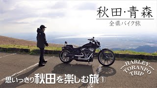 【ハーレー トランポ旅】 ブレイクアウトで東北旅  目指すは憧れの寒風山！秋田と青森のバイク旅！秋田初日編 【モトブログ】 [upl. by Guillermo]