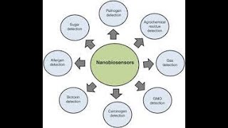 NANO BIOSENSORS [upl. by Anayit75]