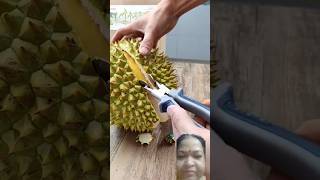 Wow unique style opening durian fruit।shorts fruit durian fruitcutting satisfying [upl. by Ennovyhc956]