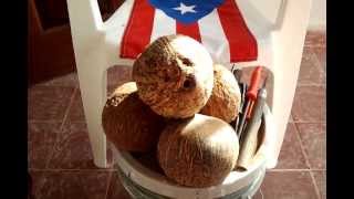 ARTESANIA EN COCO DE PUERTO RICO  coconut art [upl. by Othella]