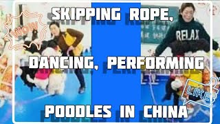 Skipping rope Dancing performing Poodles in China [upl. by Maddie160]