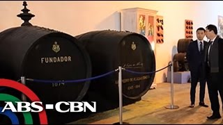 Bandila Emperador buys Spains Fundador for P138B [upl. by Alolomo257]