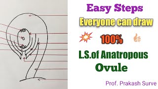 How to draw LSOf Anatropus Ovule Draw Easily Step by Step By Prof Prakash Surve Moderator [upl. by Anertal]