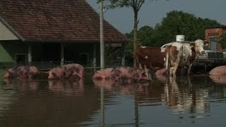 Bosnie Domaljevac village submergé par les eaux [upl. by Anavoj463]