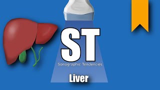 Liver Ultrasound Protocol [upl. by Raphael]