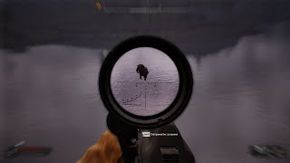 STALKER 2 Flying PIG Anomaly on Wild Island location [upl. by Isle]