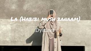 La habibi mush banaam  Dystinct  speed up version [upl. by Alenoel]