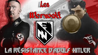 Lhistoire des Werwolf  la guérilla Allemande pendant la 2nd Guerre Mondiale 54 LDS [upl. by Atneuqal]