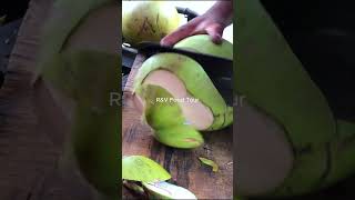 Big fresh coconut cutting skill shorts coconut streetfood viral asmr experiment explore fyp [upl. by Sidran214]