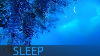 8 Hour Sleep Music Insomnia Deep Sleep Music Calm Music Sleep Meditation Sleeping Music ☯207 [upl. by Adnohryt]