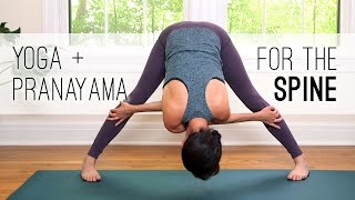 Yoga  Pranayama for the Spine  Yoga With Adriene [upl. by Noreg]