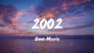 AnneMarie  2002 Lyrics [upl. by Suirred]