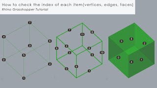 How to check the index of each itemvertices edges faces Rhino Grasshopper Tutorial [upl. by Nitsirc]