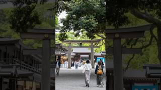 Pourquoi un touriste américain atil osé vandaliser le sanctuaire sacré de Meiji Jingu [upl. by Ruthven]