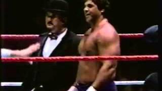 Don Muraco vs Swede Hansen P1 [upl. by Nytram]