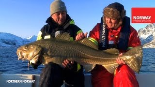 NORWAY WINTER FISHING [upl. by Humpage32]