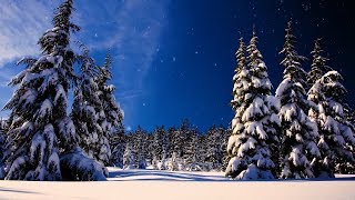 Christmas music Christmas instrumental Music quotLet It Snowquot by Tim Janis [upl. by Armin448]