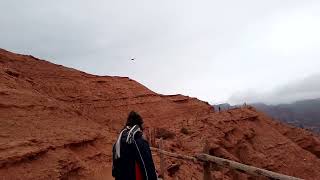 Cóndor en Parque Nacional Sierra de las quijadas [upl. by Aniham90]