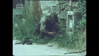 BRITISH ARMY Sappers in War 1984 [upl. by Ellinehc975]