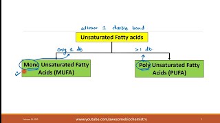 7 Fatty Acids Unsaturated FA [upl. by Gustaf]