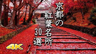 【4K 京都の紅葉🍁30選】鮮やかな極上の名所 [upl. by Urina124]