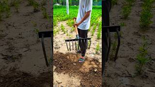 The new arcshaped foursided pointed spike rake can climb rakeand turn theviralvideoagriculture [upl. by Abernathy]