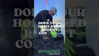 Your local pest control company Located in Van Wert Ohio Proguardpccom [upl. by Nede]