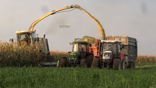 Vollgas in der Maisernte mit dem Agrarservice Häußler  Krone BIG X V12 [upl. by Areem341]