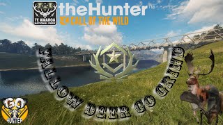 Fallow Deer GO Grind  Te Awaroa National Park  TheHunter Call Of The Wild [upl. by Trevlac]