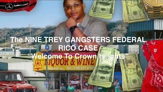 The NineTrey Gangsters BLOOD Gang RICO Case Allegedly Since 1994“Bugout Boyz”crownheightsmafia [upl. by Colinson]