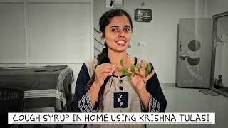 Natural Home cough syrup using Tulasi cough coughremedies ayurveda homeremedies coughremedy [upl. by Wendin277]