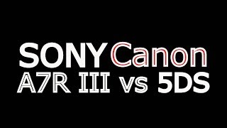 Sony A7R III vs Canon 5DS amp 5DS R [upl. by Attolrac]