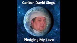 The Best Love Songs Pledging My Love Sung By Carlton David [upl. by Eittam]