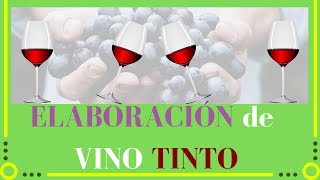 Elaboración de VINO TINTO🍷Explicado✅Curso de vinos [upl. by Tnomyar]