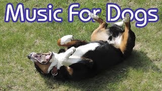 How to Calm My Dog 15 Hours of NEW Relaxing Music for Dogs [upl. by Dahlia]