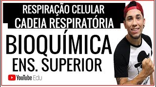 Aula 36 Respiração Celular CADEIA RESPIRATÓRIA  FOSFORILAÇÃO OXIDATIVA SUPERIOR [upl. by Biondo460]