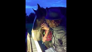 Horse Plays Piano  Sandmann lieber Sandmann [upl. by Aisatnaf]