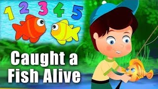 12345 Once I Caught A Fish Alive  Number Song  Nursery Rhymes Collection from Tabeer Tv [upl. by Hamel]