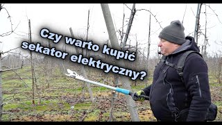 Czy warto kupić sekator elektryczny [upl. by Favin]