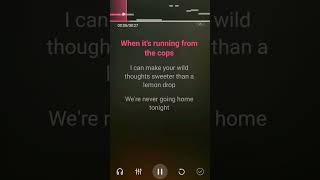 🎤Never Going Home Tonight  Alesso and David Guetta Karaoke Hook [upl. by Boris398]