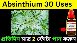 absinthium 30 homeopathic medicine uses and diseases [upl. by Stanly]