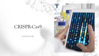 CRISPR CAS9 Gene Editing for Sickle Cell Disease [upl. by Barker103]