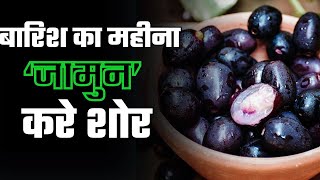 जामुन खाने से होते हैं ये खास फायदे । Health tips l Benefits Of Java Plum [upl. by Zertnom]