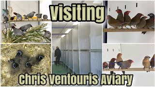 Visiting Chris Ventouris AVIARY in Ptolemaida Greece [upl. by Becki197]